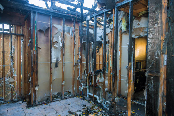Professional Fire Damage Removal technician working in Vancleave, MS